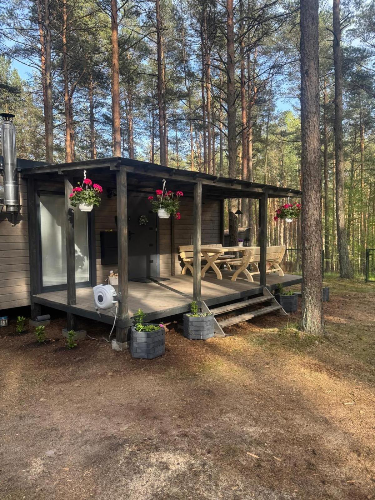 Domek Borsk Exterior photo